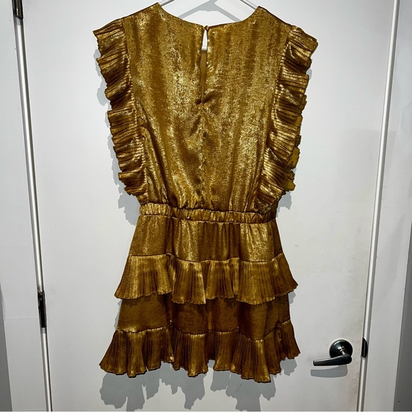 TCEC Gold Mini Dress - Picture 4 of 7